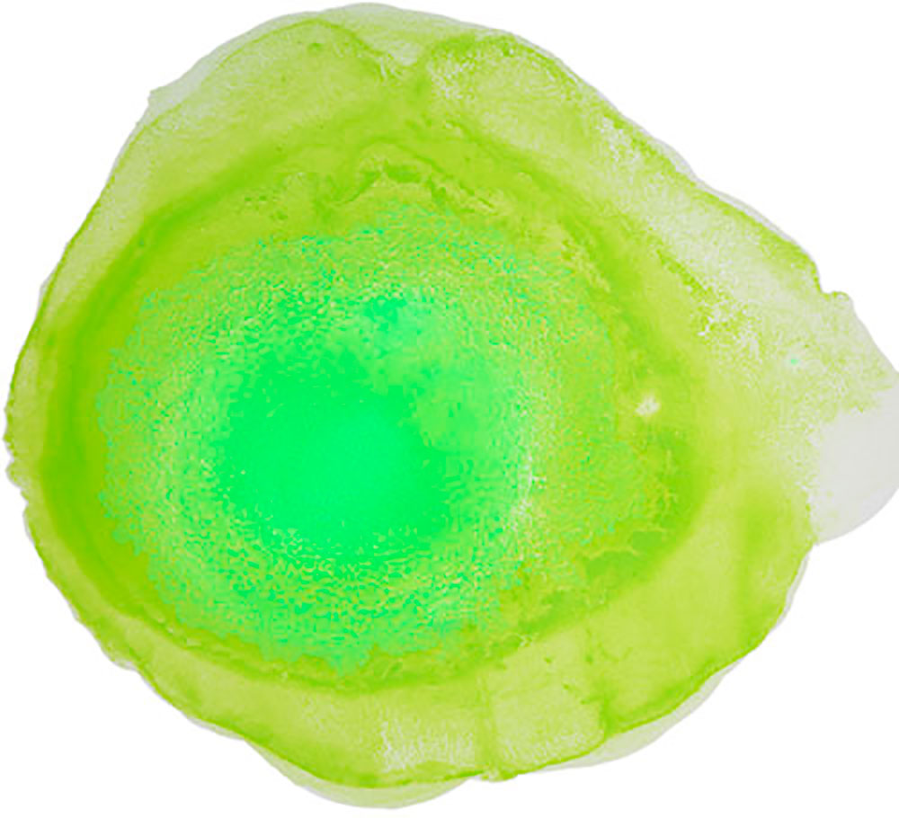 From Bubble Madrid Callao Bubble